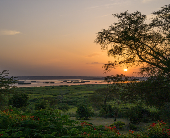 Garamba Alliance